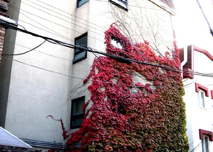 K'stay Sinchon Hotel *